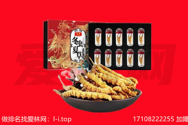 昌吉州阜康市回收虫草.jpg